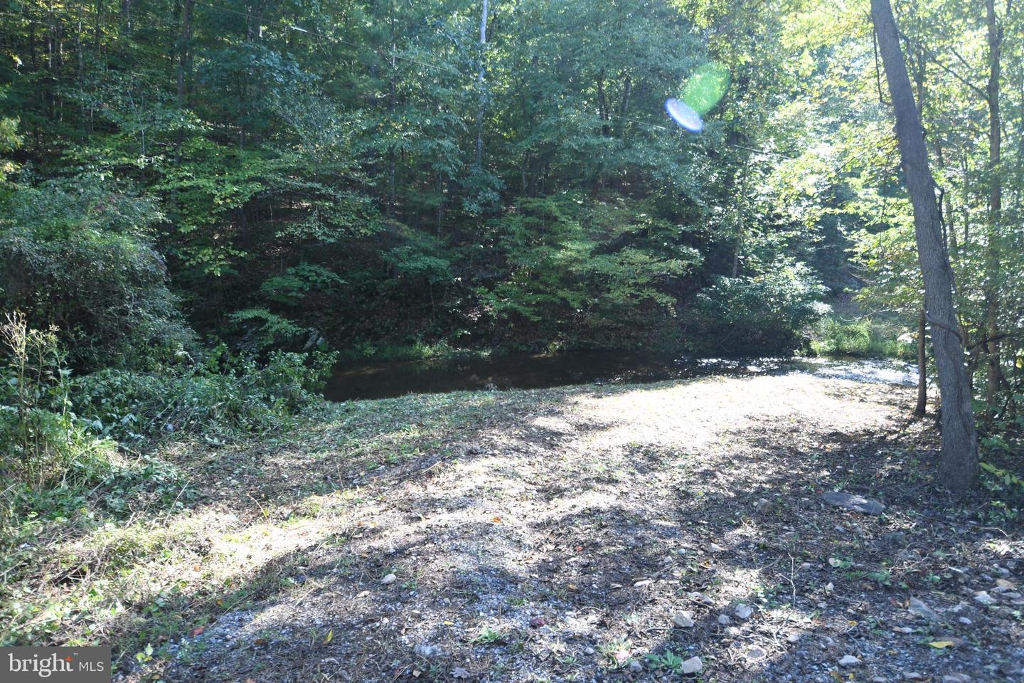 DISMAL HOLLOW RD, FRONT ROYAL, Virginia 22630, ,Land,For sale,DISMAL HOLLOW RD,VAWR2009226 MLS # VAWR2009226