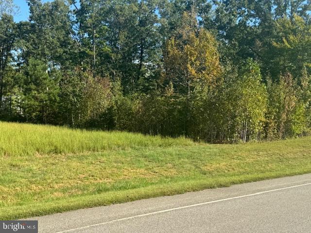 LOT 202 RAINBOW RDG, BUMPASS, Virginia 23024, ,Land,For sale,LOT 202 RAINBOW RDG,VALA2006570 MLS # VALA2006570