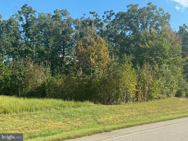 LOT 202 RAINBOW RDG, BUMPASS, Virginia 23024, ,Land,For sale,LOT 202 RAINBOW RDG,VALA2006570 MLS # VALA2006570