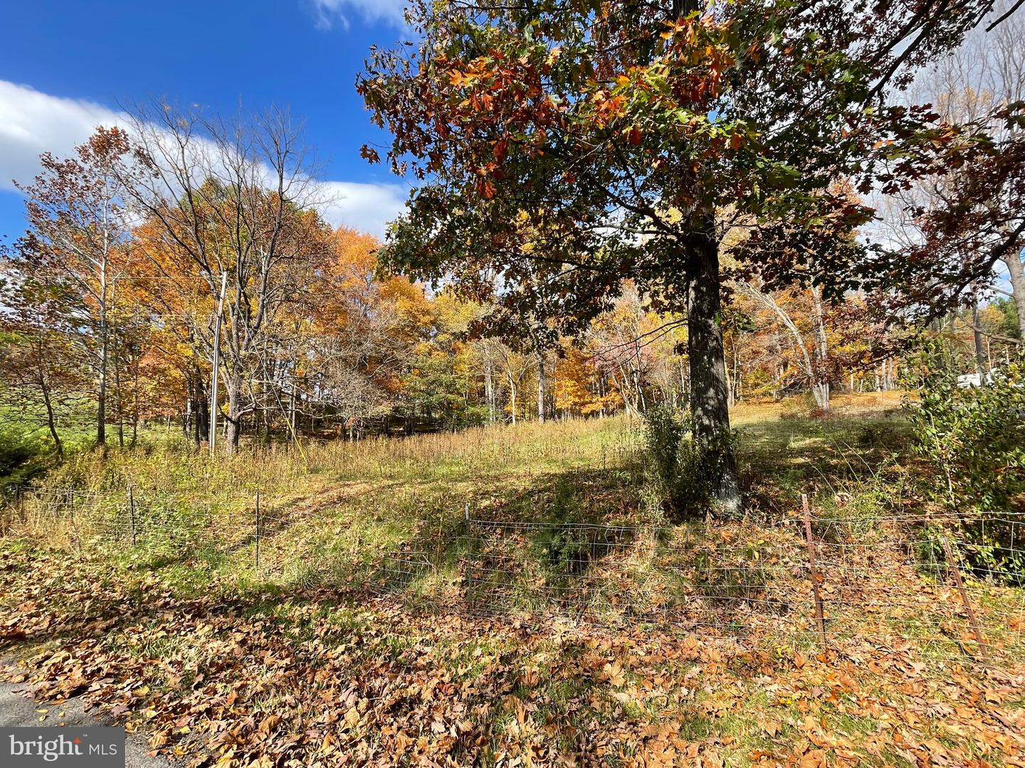 LOT 63 BUCK MOUNTAIN RD, BENTONVILLE, Virginia 22610, ,Land,For sale,LOT 63 BUCK MOUNTAIN RD,VAWR2009204 MLS # VAWR2009204