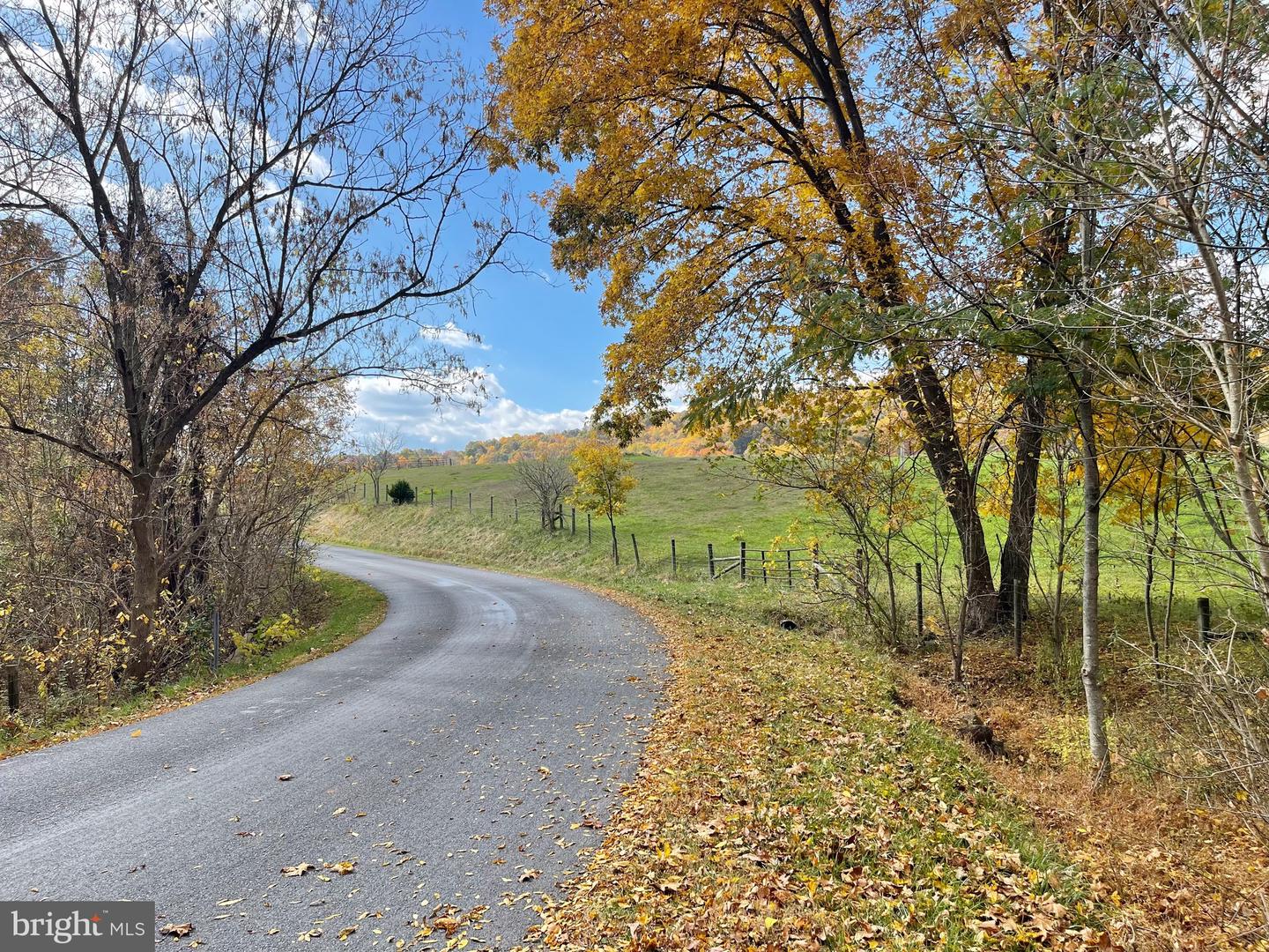 LOT 63 BUCK MOUNTAIN RD, BENTONVILLE, Virginia 22610, ,Land,For sale,LOT 63 BUCK MOUNTAIN RD,VAWR2009204 MLS # VAWR2009204