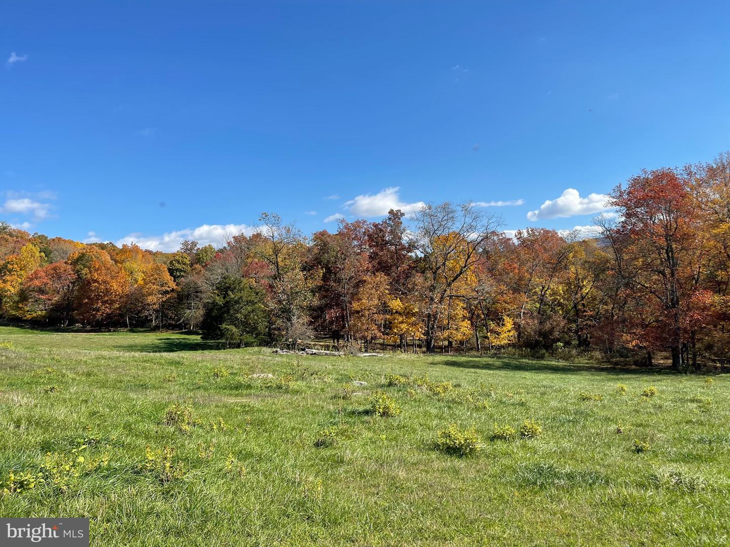 LOT 63 BUCK MOUNTAIN RD, BENTONVILLE, Virginia 22610, ,Land,For sale,LOT 63 BUCK MOUNTAIN RD,VAWR2009204 MLS # VAWR2009204