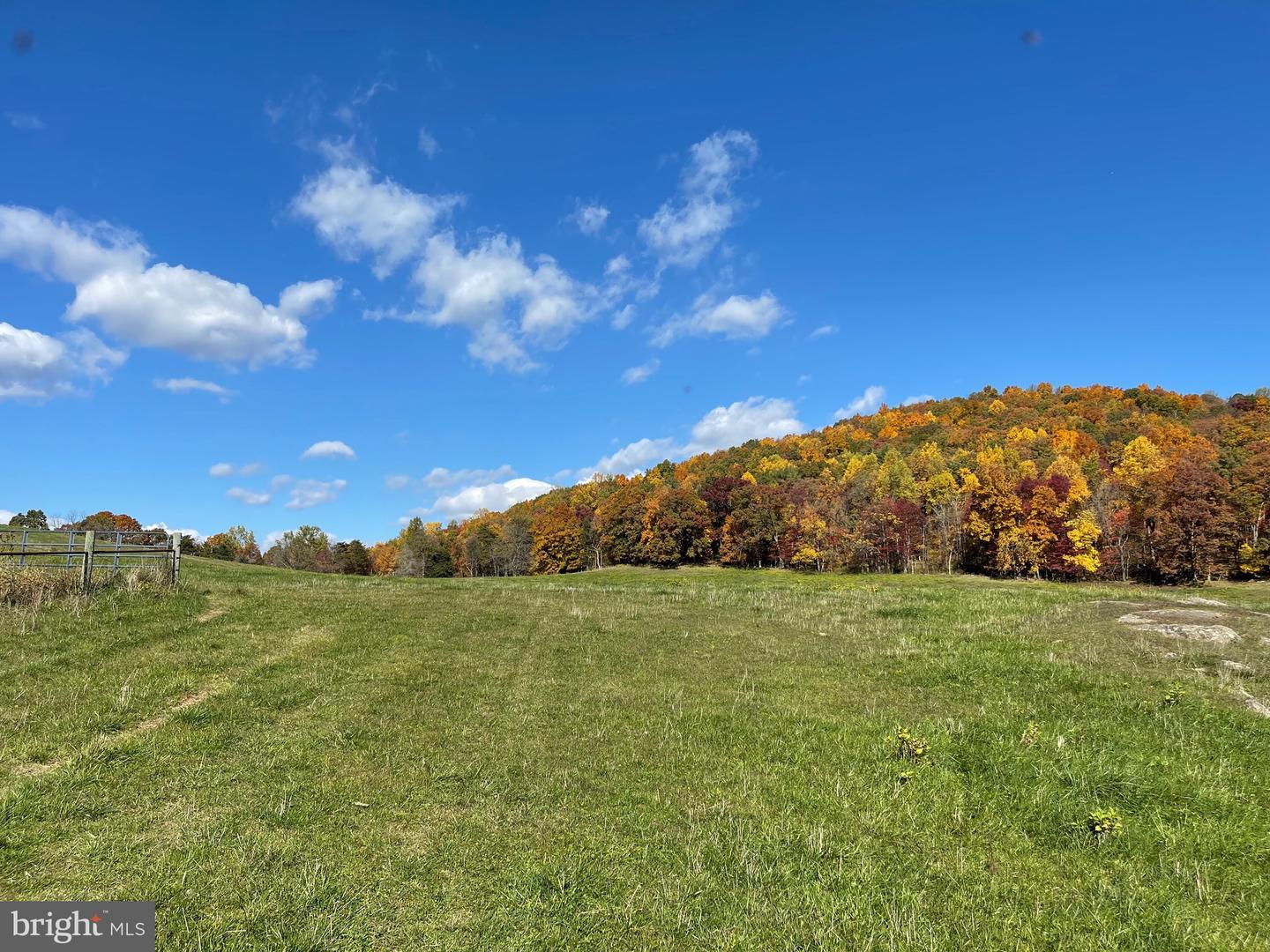 LOT 63 BUCK MOUNTAIN RD, BENTONVILLE, Virginia 22610, ,Land,For sale,LOT 63 BUCK MOUNTAIN RD,VAWR2009204 MLS # VAWR2009204