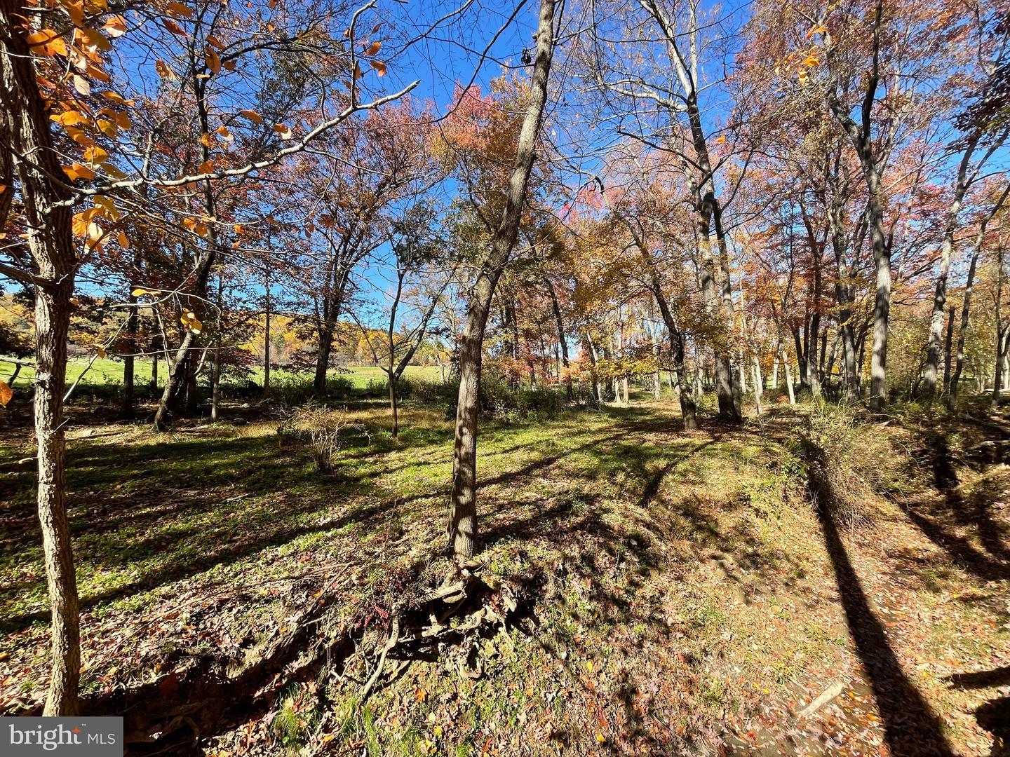 LOT 63 BUCK MOUNTAIN RD, BENTONVILLE, Virginia 22610, ,Land,For sale,LOT 63 BUCK MOUNTAIN RD,VAWR2009204 MLS # VAWR2009204