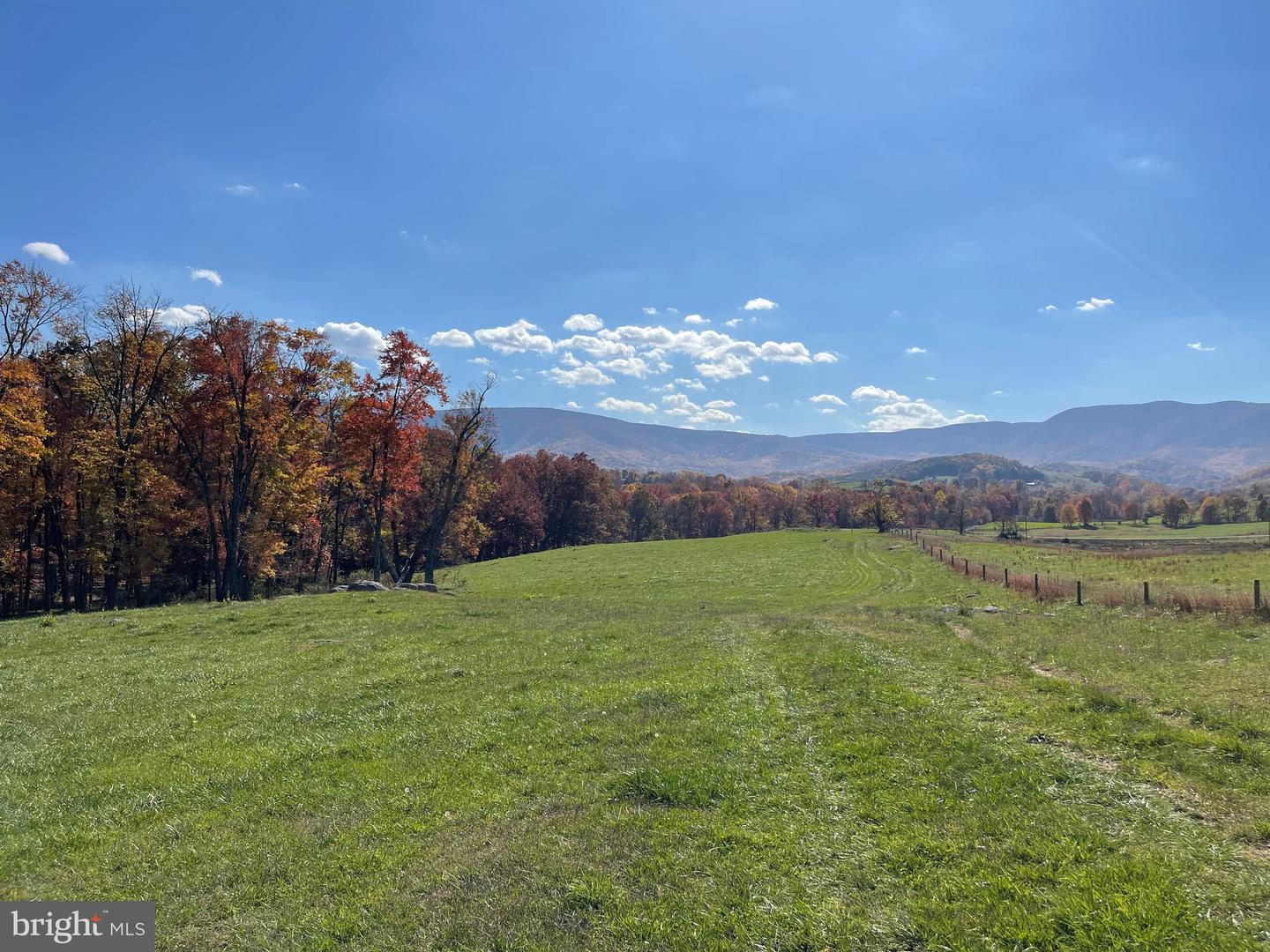 LOT 63 BUCK MOUNTAIN RD, BENTONVILLE, Virginia 22610, ,Land,For sale,LOT 63 BUCK MOUNTAIN RD,VAWR2009204 MLS # VAWR2009204