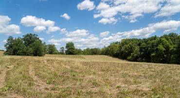 Lot 8 GALLOWAY SPRING LN, SHENANDOAH, Virginia 22849, ,Land,Lot 8 GALLOWAY SPRING LN,657321 MLS # 657321