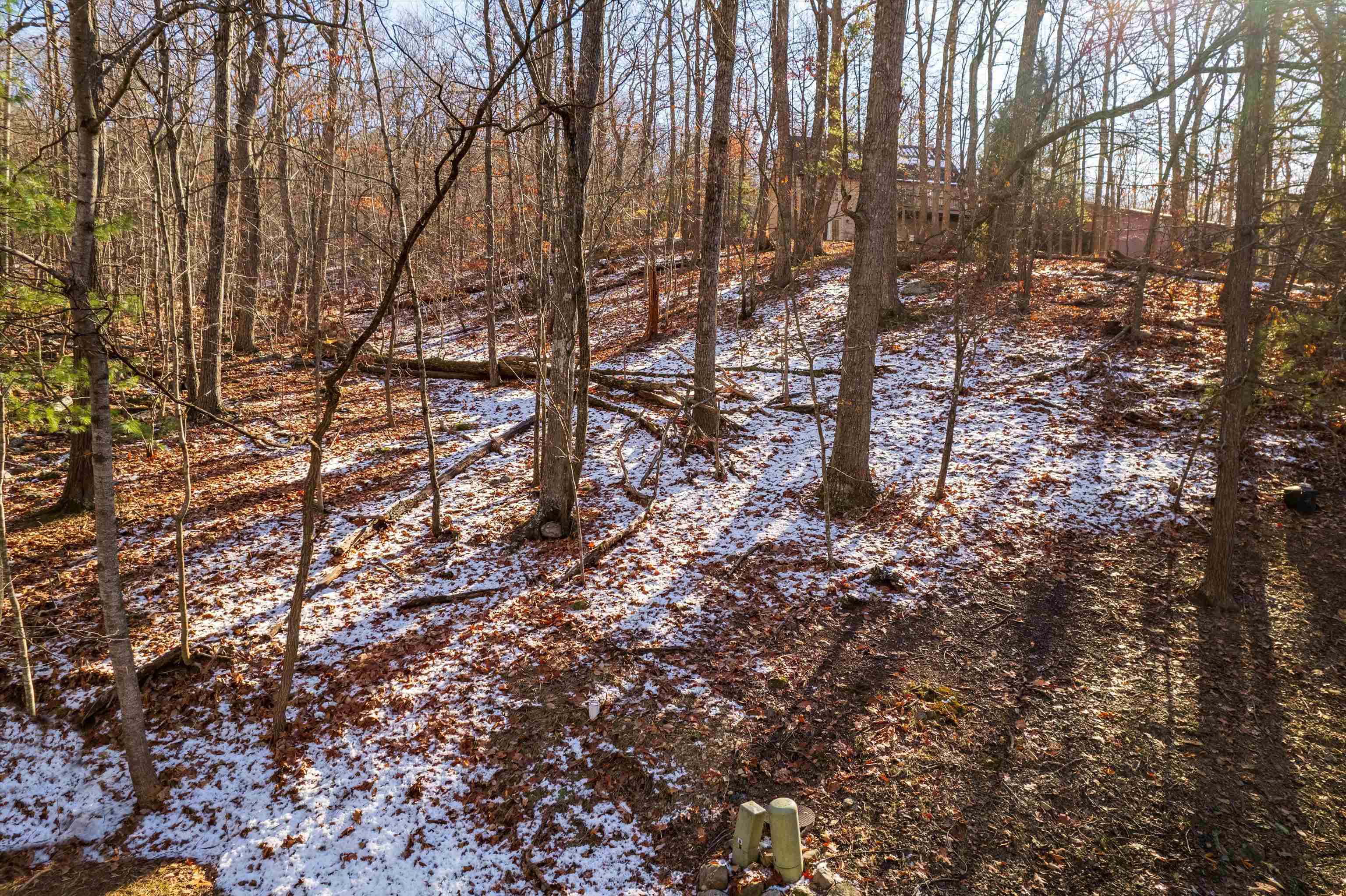 Lot 165 SNEAD CIR, MCGAHEYSVILLE, Virginia 22840, ,Land,Lot 165 SNEAD CIR,657330 MLS # 657330