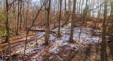 Lot 165 SNEAD CIR, MCGAHEYSVILLE, Virginia 22840, ,Land,Lot 165 SNEAD CIR,657330 MLS # 657330