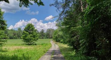 TBD LOST VALLEY RD, EARLYSVILLE, Virginia 22936, ,Land,For sale,TBD LOST VALLEY RD,657328 MLS # 657328