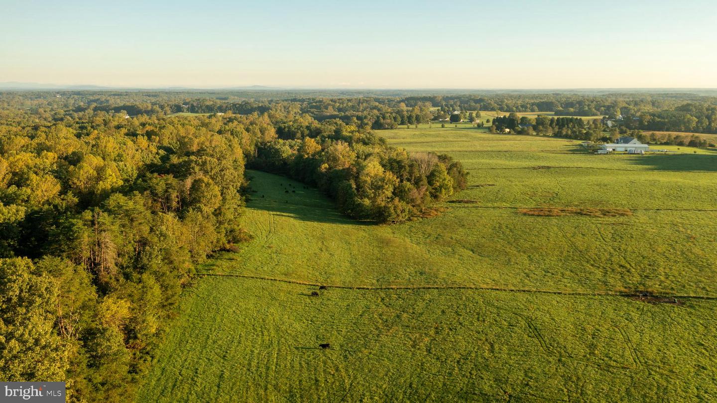 TBD BIBB STORE RD, LOUISA, Virginia 23093, ,Land,For sale,TBD BIBB STORE RD,VALA2006590 MLS # VALA2006590