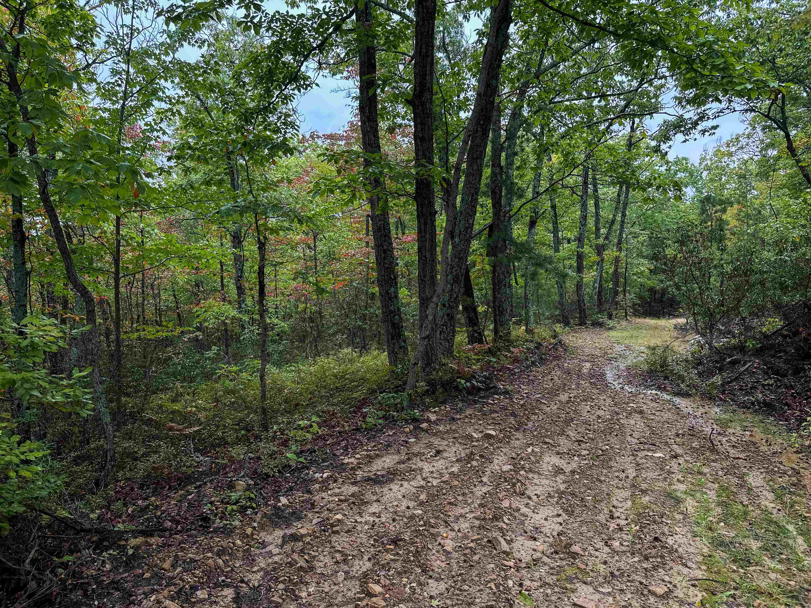 TBD HORSEHEAD RD, GROTTOES, Virginia 24441, ,Land,TBD HORSEHEAD RD,657355 MLS # 657355