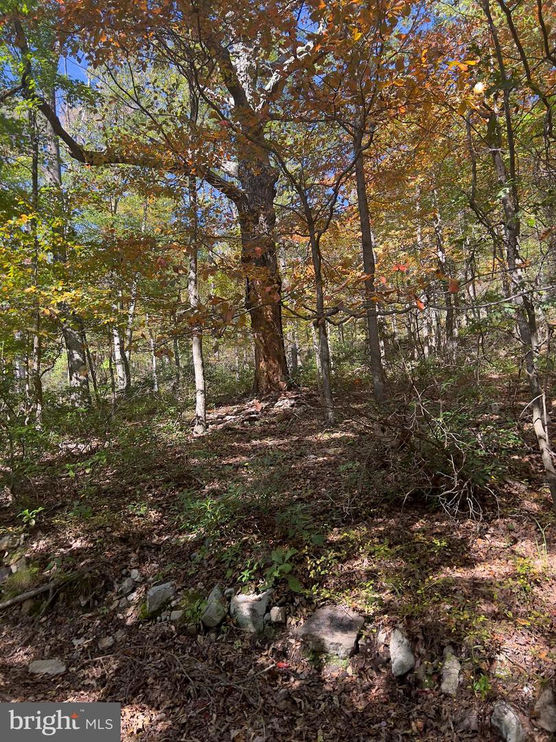 LOT 5A FOX TRL, WINCHESTER, Virginia 22602, ,Land,For sale,-LOT 5A FOX TRL,VAFV2022028 MLS # VAFV2022028