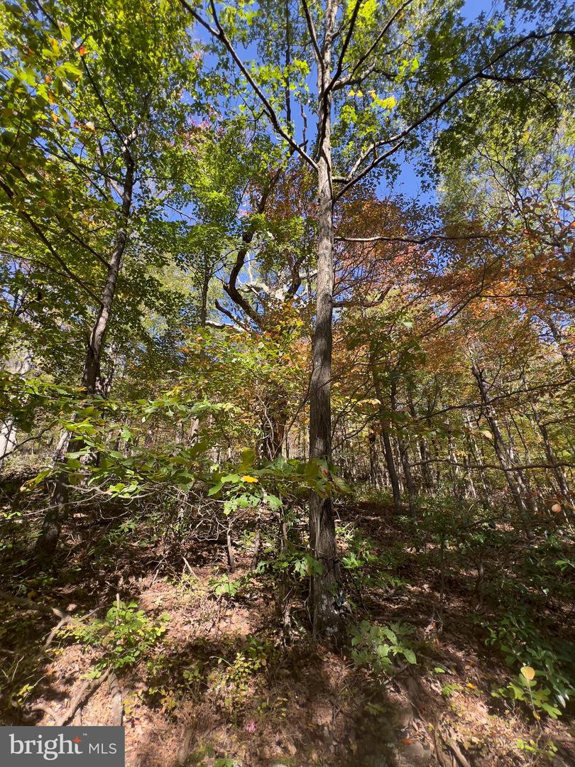 LOT 5A FOX TRL, WINCHESTER, Virginia 22602, ,Land,For sale,-LOT 5A FOX TRL,VAFV2022028 MLS # VAFV2022028