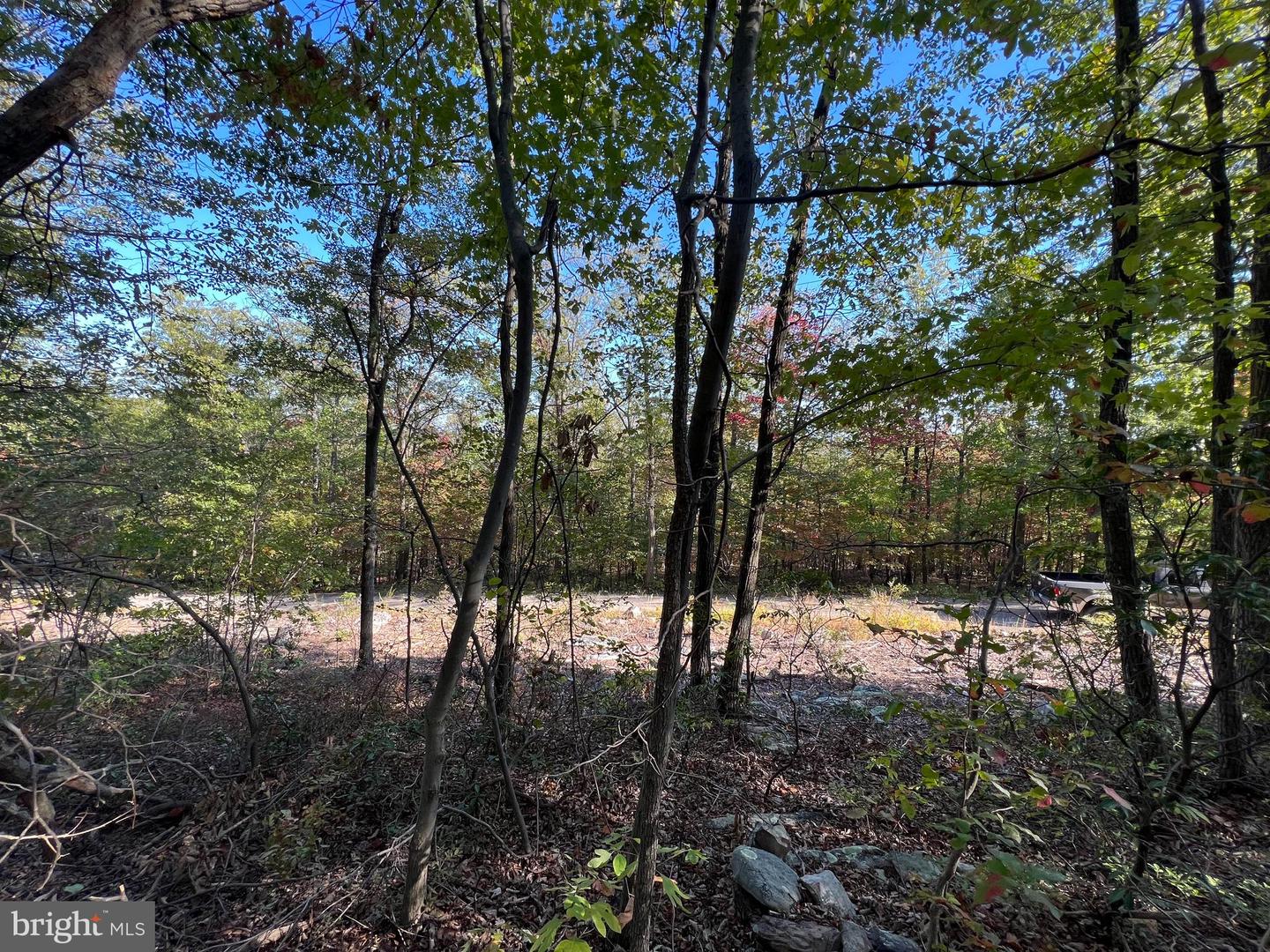 LOT 10, 11, 12-13 A-602 FOX TRL, WINCHESTER, Virginia 22602, ,Land,For sale,LOT 10,11,12-13 A-602 FOX TRL,VAFV2022030 MLS # VAFV2022030