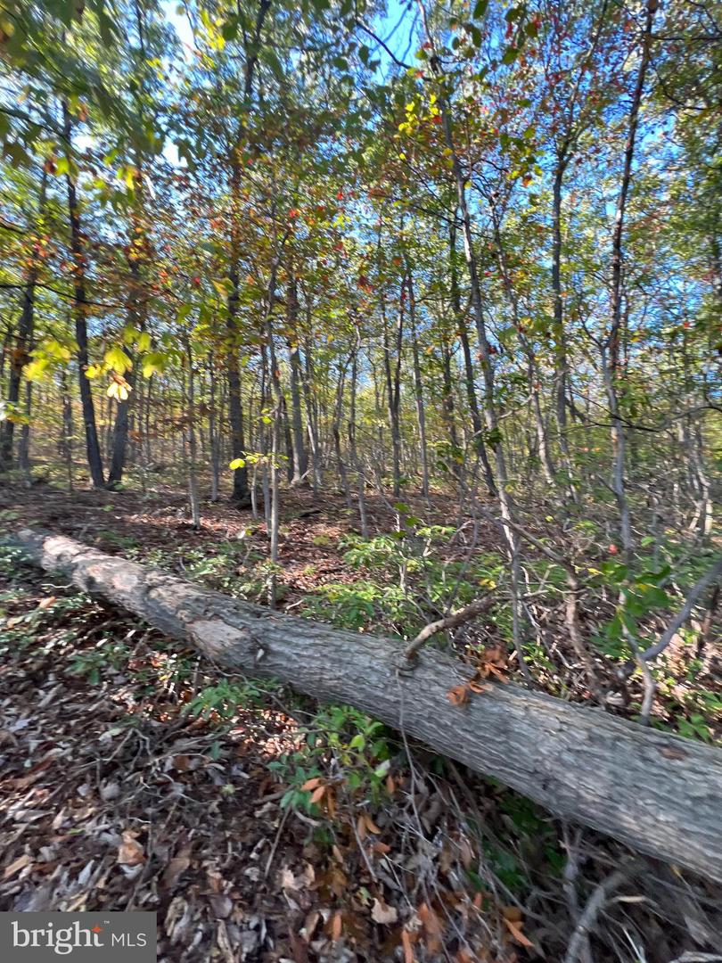 LOT 10, 11, 12-13 A-602 FOX TRL, WINCHESTER, Virginia 22602, ,Land,For sale,LOT 10,11,12-13 A-602 FOX TRL,VAFV2022030 MLS # VAFV2022030