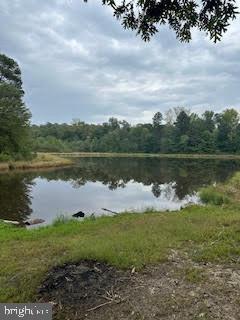 SUMMER DR, RUTHER GLEN, Virginia 22546, ,Land,For sale,SUMMER DR,VACV2006780 MLS # VACV2006780