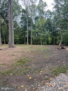 SUMMER DR, RUTHER GLEN, Virginia 22546, ,Land,For sale,SUMMER DR,VACV2006780 MLS # VACV2006780