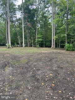 SUMMER DR, RUTHER GLEN, Virginia 22546, ,Land,For sale,SUMMER DR,VACV2006780 MLS # VACV2006780