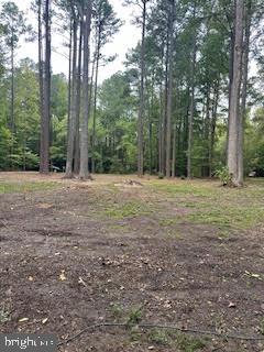 SUMMER DR, RUTHER GLEN, Virginia 22546, ,Land,For sale,SUMMER DR,VACV2006780 MLS # VACV2006780