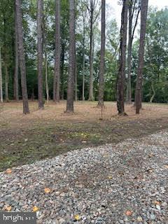 SUMMER DR, RUTHER GLEN, Virginia 22546, ,Land,For sale,SUMMER DR,VACV2006780 MLS # VACV2006780