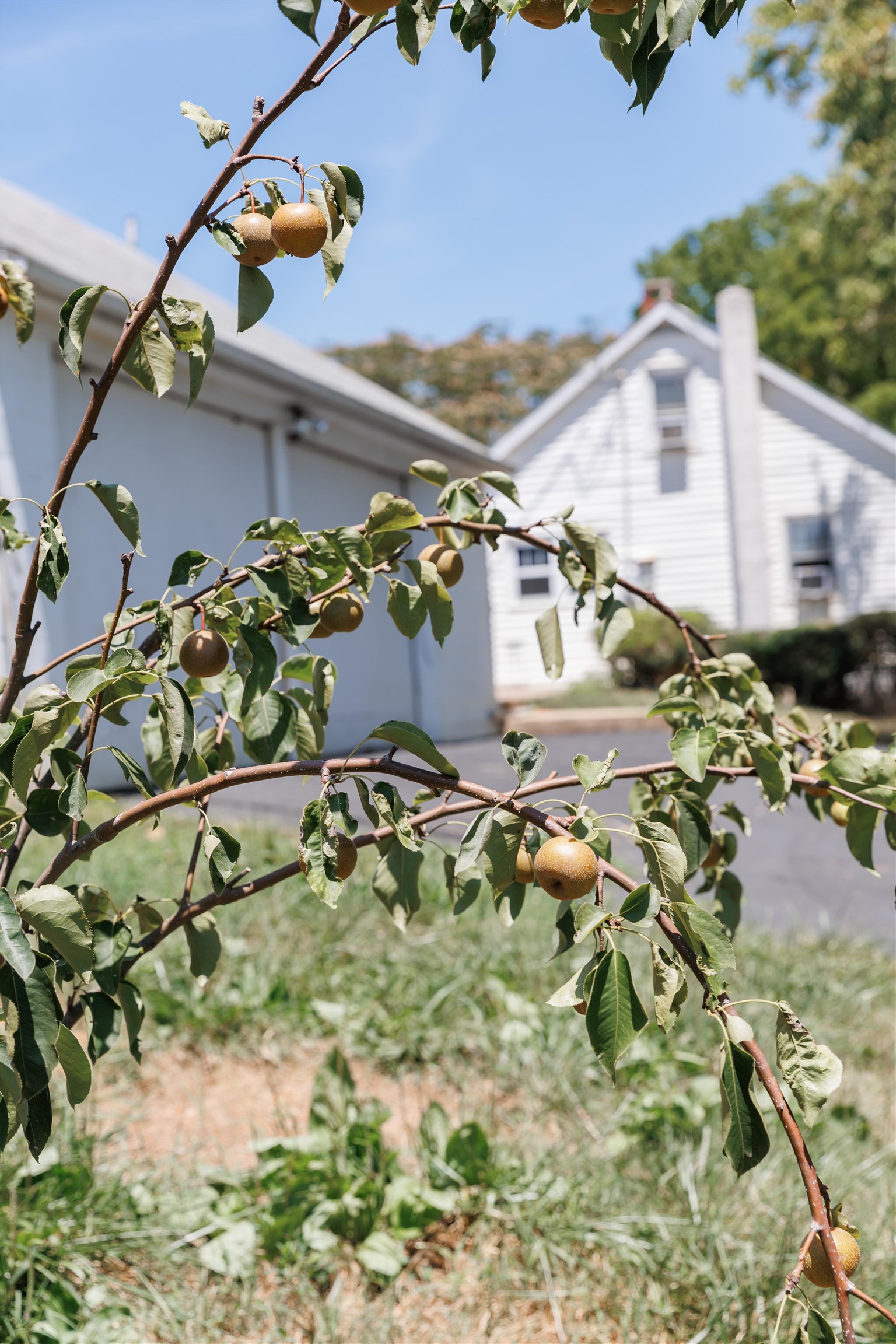 334 POPLAR HILL RD, LEXINGTON, Virginia 24450, 3 Bedrooms Bedrooms, ,1 BathroomBathrooms,Residential,334 POPLAR HILL RD,657335 MLS # 657335