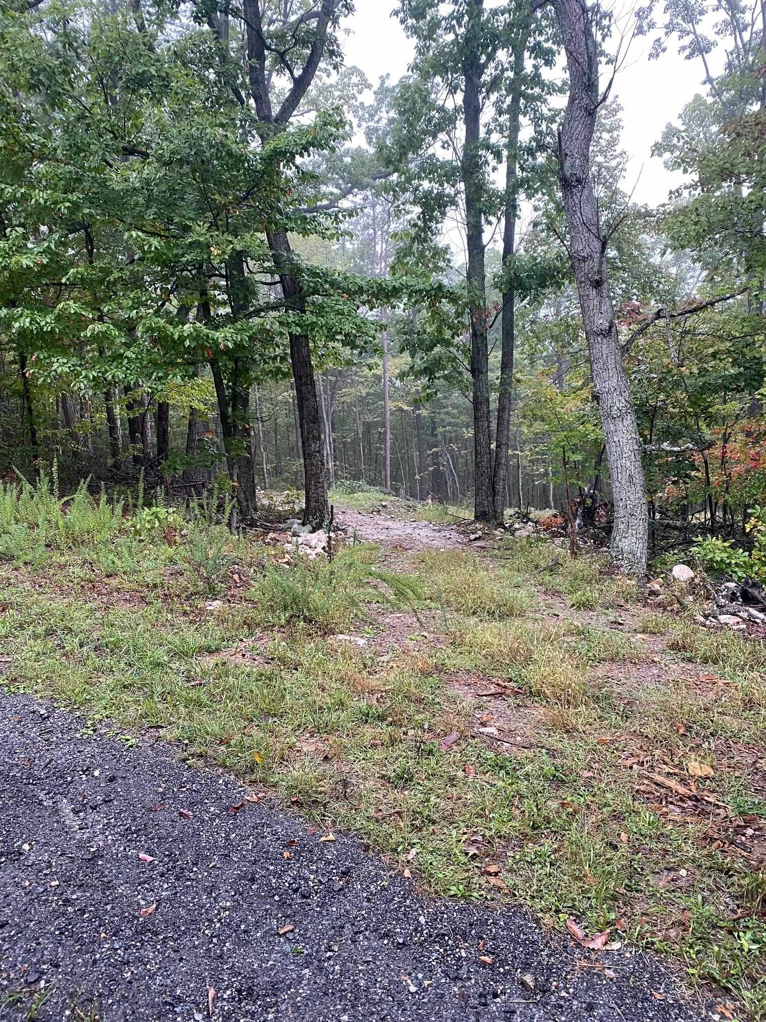 TBD PANORAMA VIEW DR, STANLEY, Virginia 22851, ,Land,TBD PANORAMA VIEW DR,657362 MLS # 657362