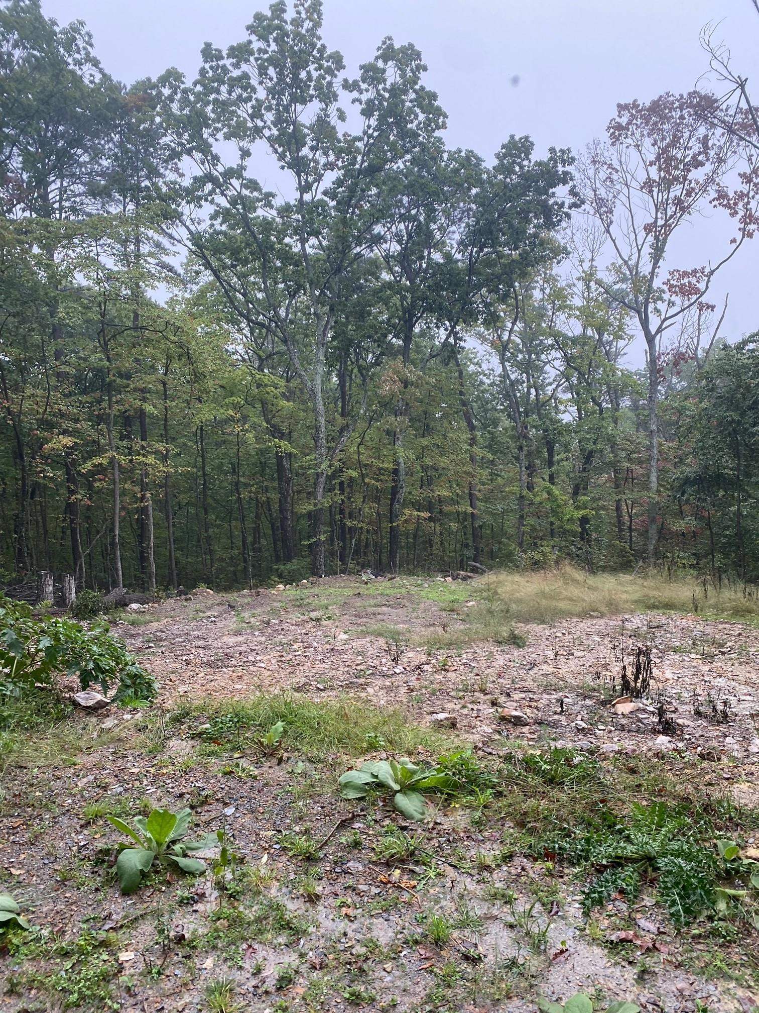 TBD PANORAMA VIEW DR, STANLEY, Virginia 22851, ,Land,TBD PANORAMA VIEW DR,657362 MLS # 657362