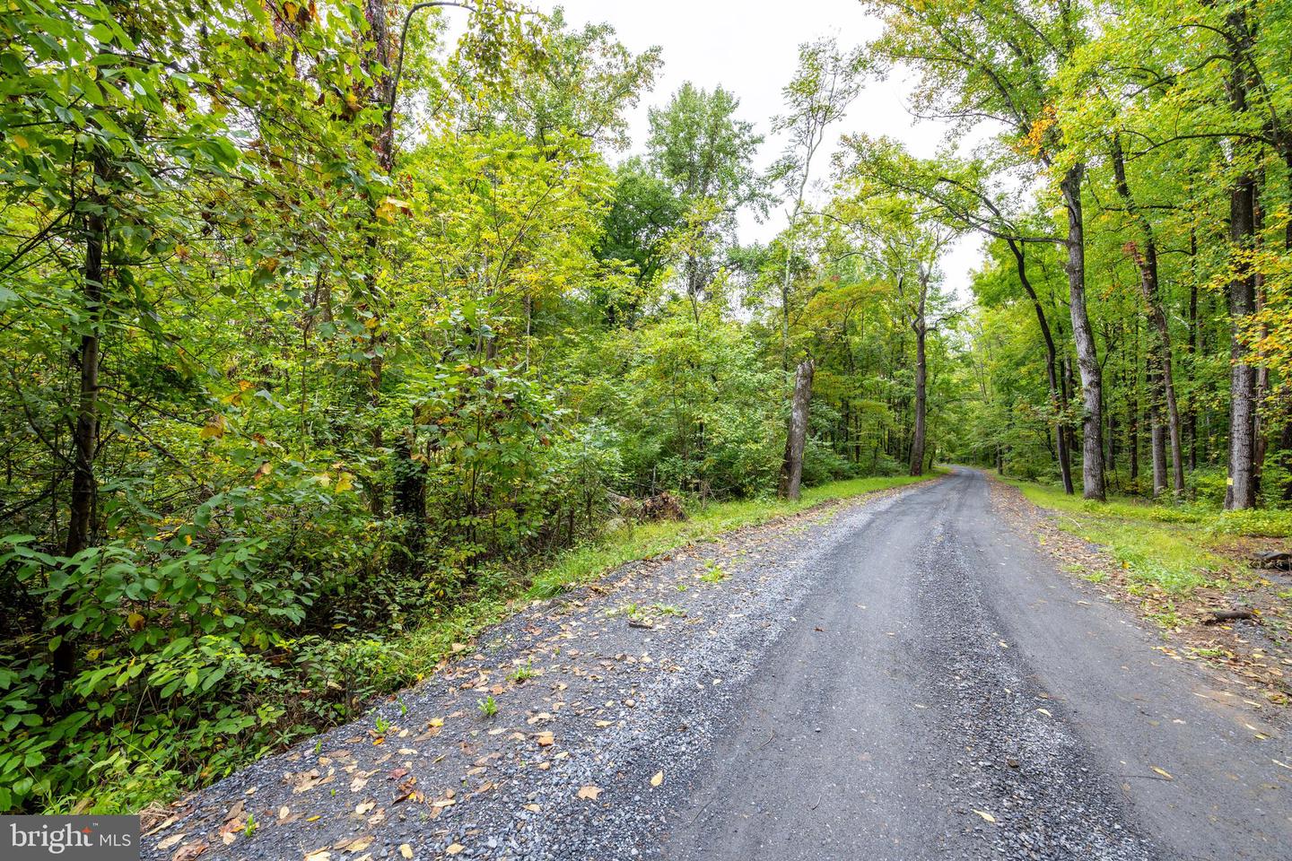 0 SMITH RUN RD, BENTONVILLE, Virginia 22610, ,Land,For sale,0 SMITH RUN RD,VAWR2009266 MLS # VAWR2009266