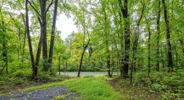 0 SMITH RUN RD, BENTONVILLE, Virginia 22610, ,Land,For sale,0 SMITH RUN RD,VAWR2009266 MLS # VAWR2009266