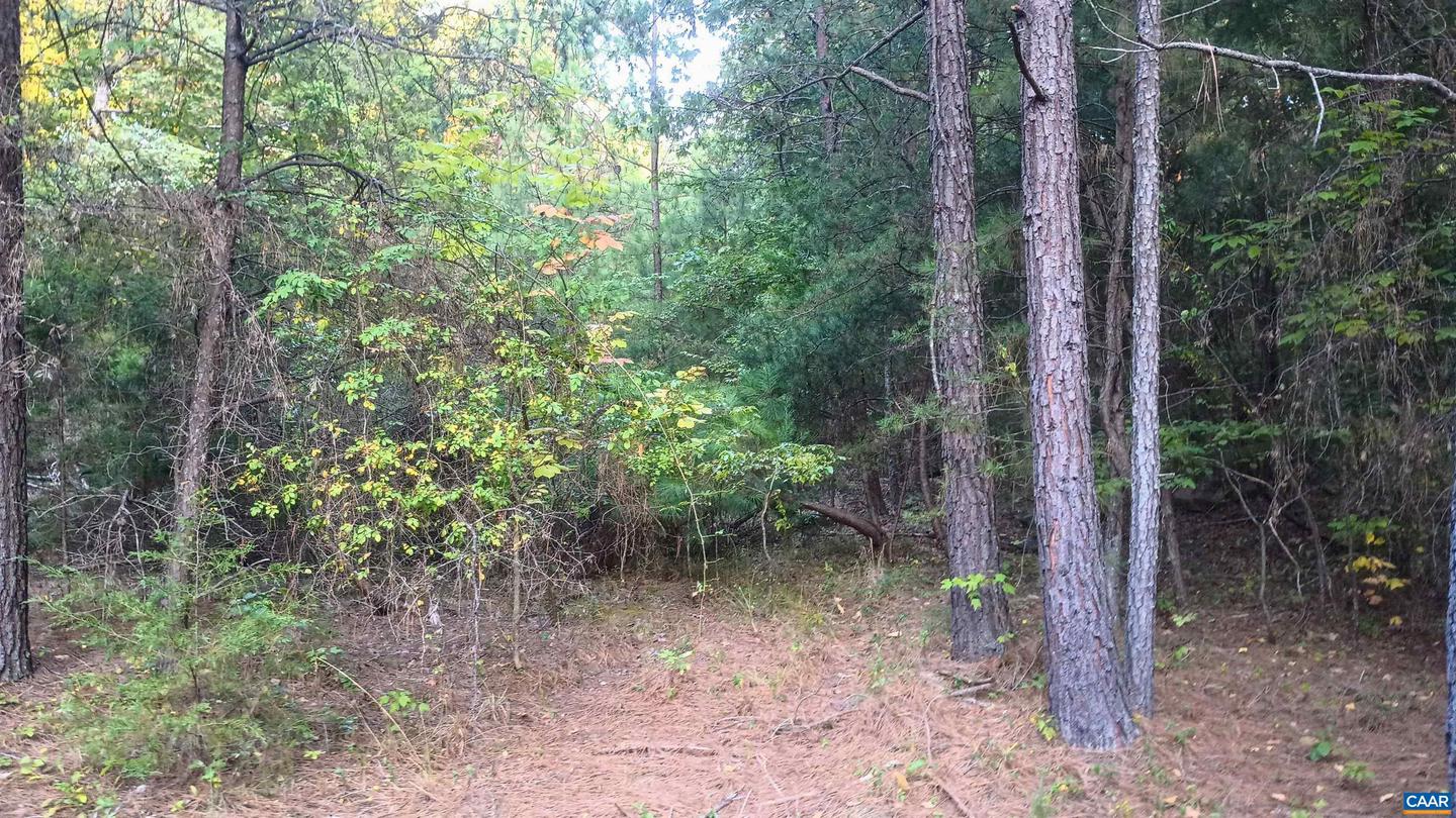 0 GLADE RD #LOT 3, SHIPMAN, Virginia 22971, ,Land,For sale,0 GLADE RD #LOT 3,656884 MLS # 656884