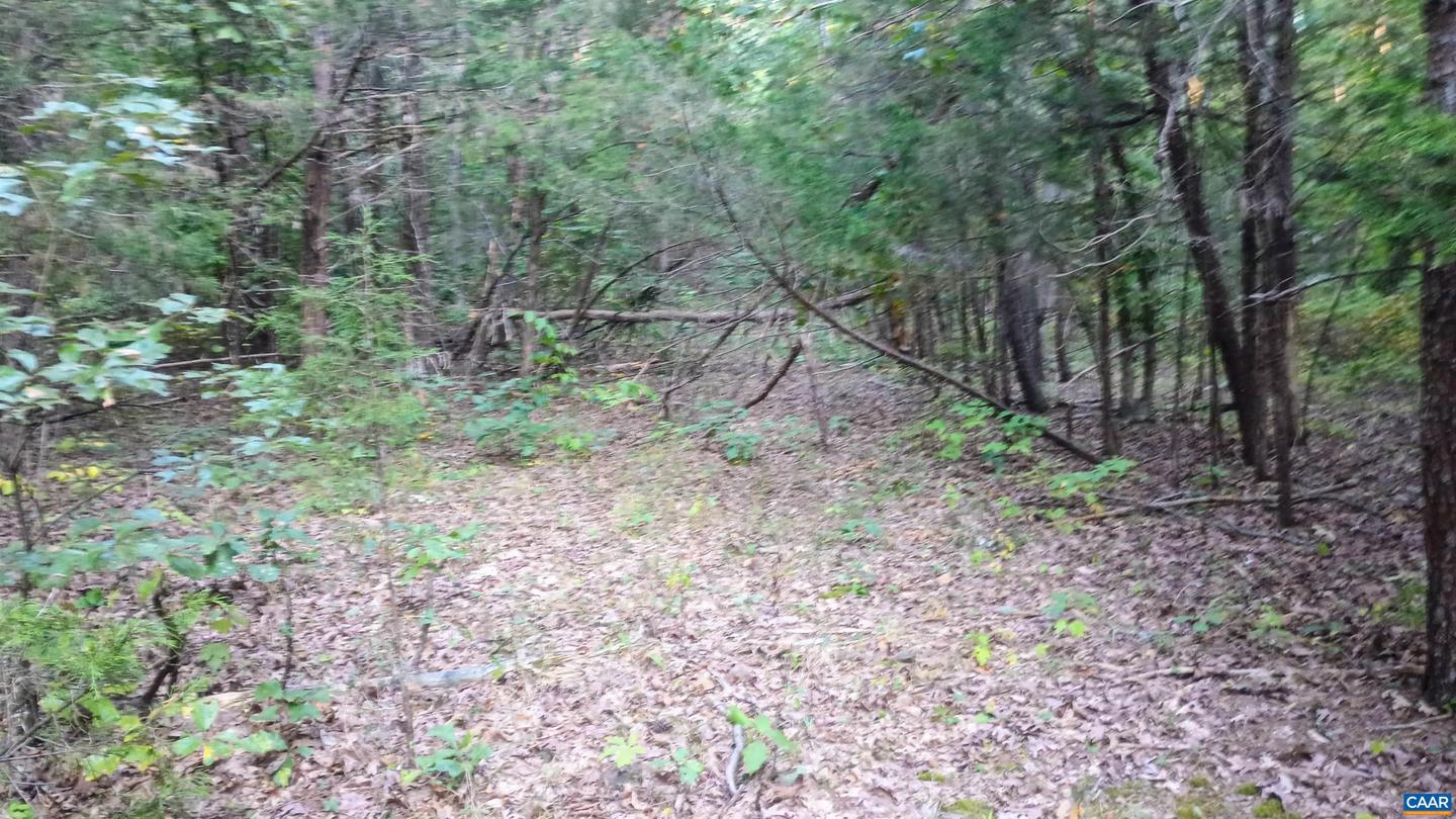 0 GLADE RD #LOT 3, SHIPMAN, Virginia 22971, ,Land,For sale,0 GLADE RD #LOT 3,656884 MLS # 656884