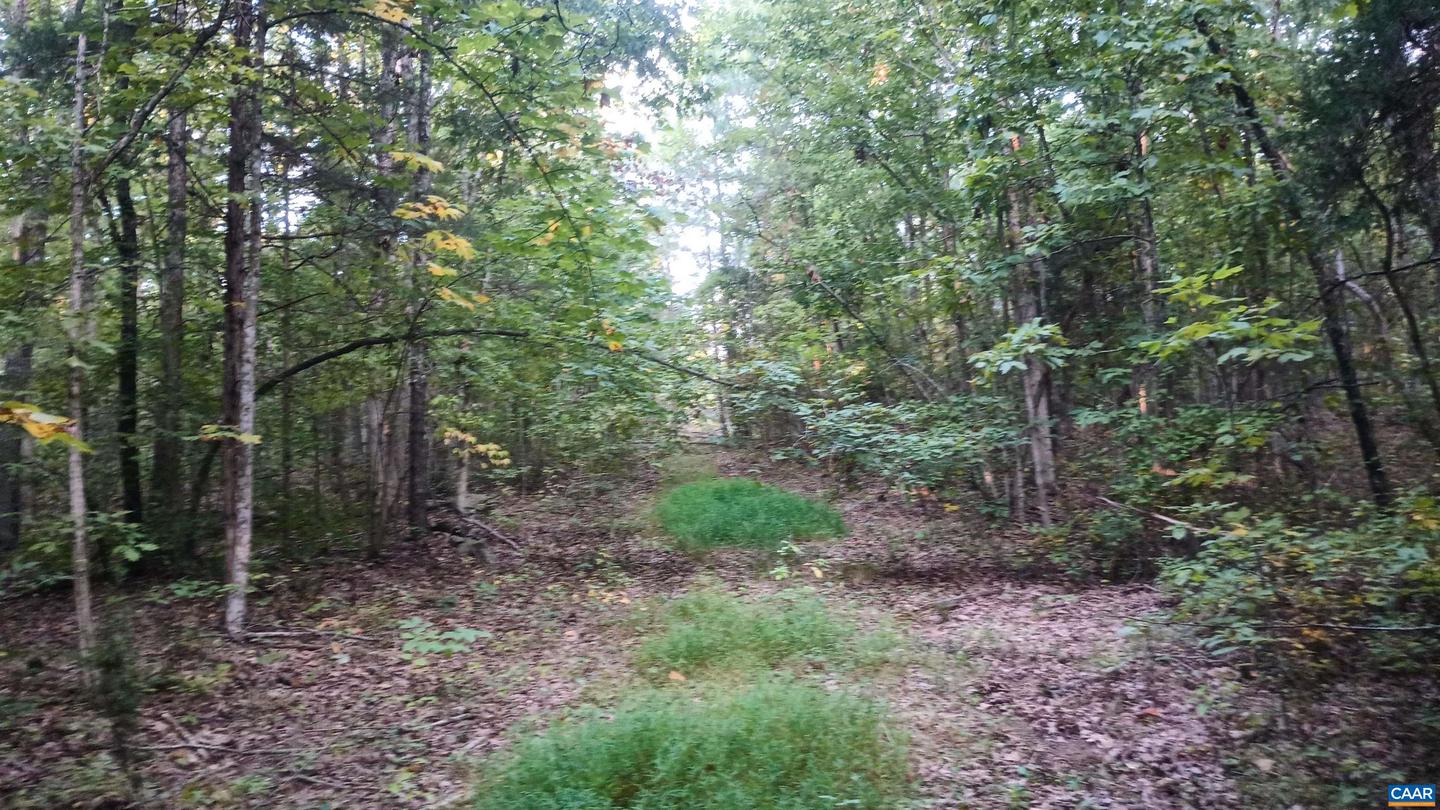 0 GLADE RD #LOT 3, SHIPMAN, Virginia 22971, ,Land,For sale,0 GLADE RD #LOT 3,656884 MLS # 656884