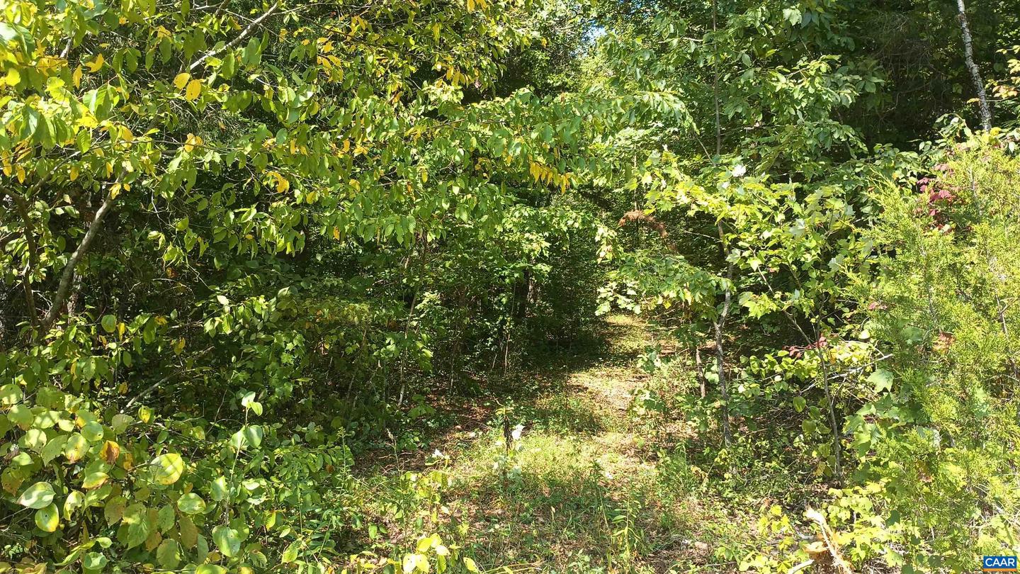 0 GLADE RD #LOT 3, SHIPMAN, Virginia 22971, ,Land,For sale,0 GLADE RD #LOT 3,656884 MLS # 656884