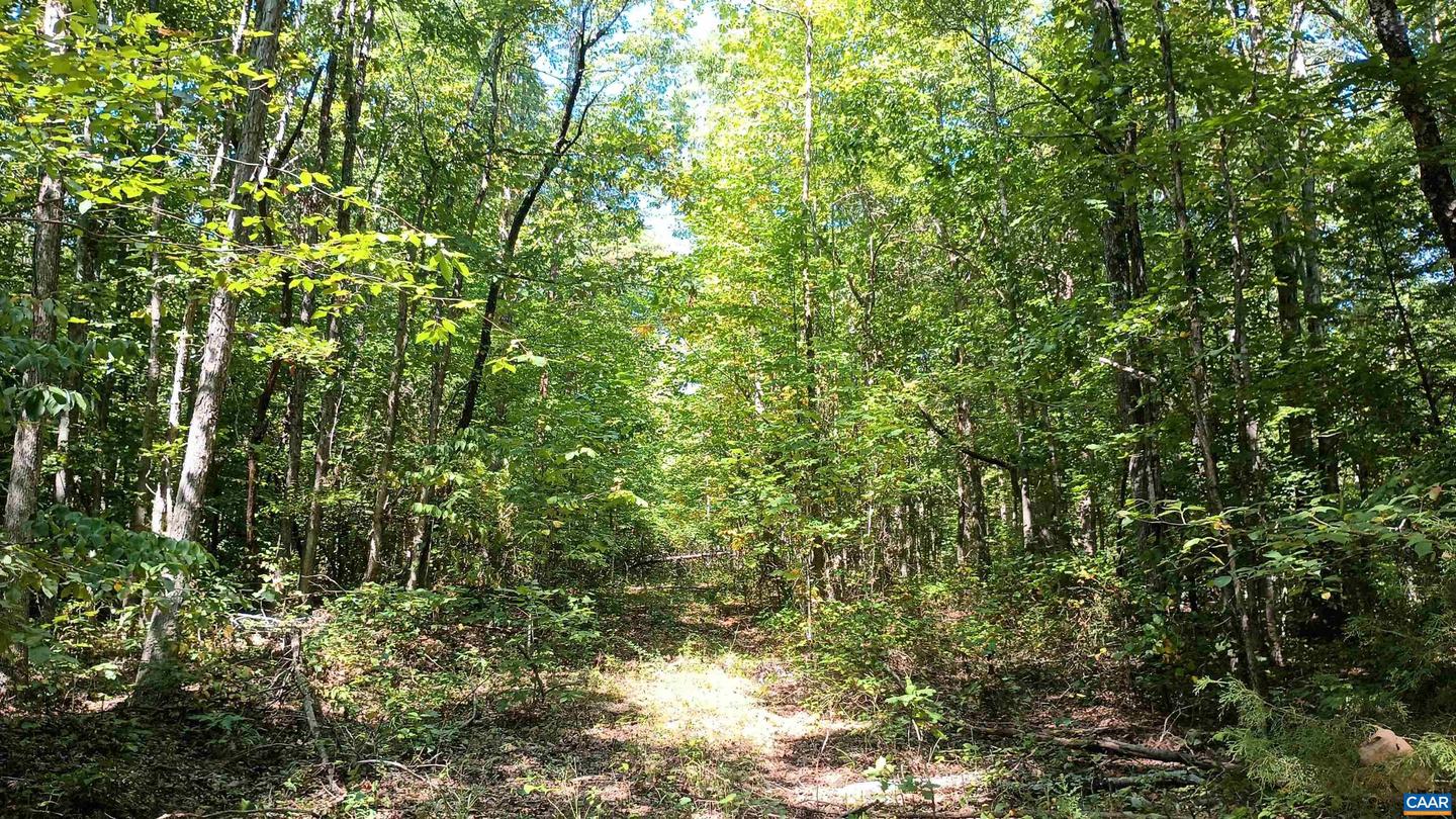 0 GLADE RD #LOT 3, SHIPMAN, Virginia 22971, ,Land,For sale,0 GLADE RD #LOT 3,656884 MLS # 656884