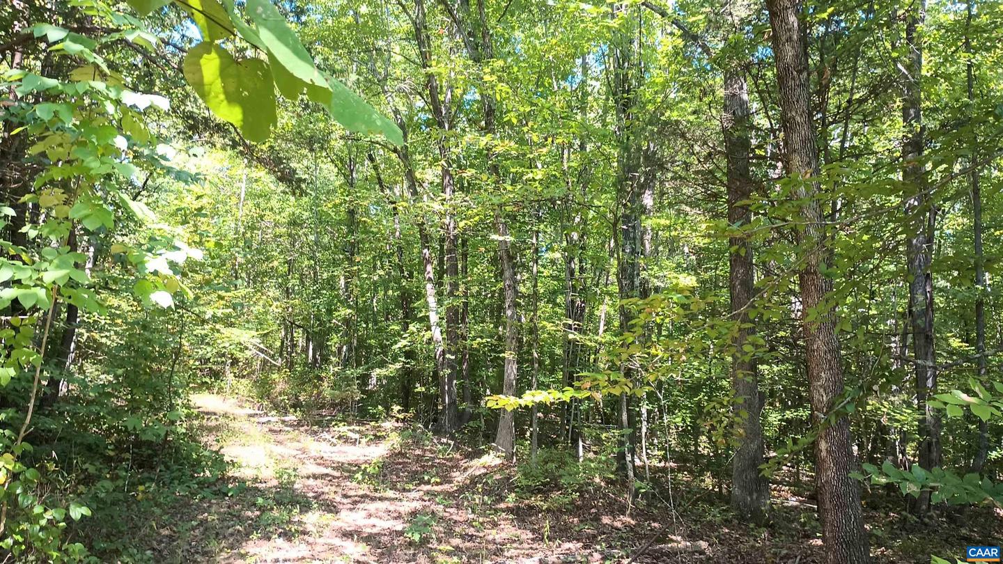 0 GLADE RD #LOT 3, SHIPMAN, Virginia 22971, ,Land,For sale,0 GLADE RD #LOT 3,656884 MLS # 656884