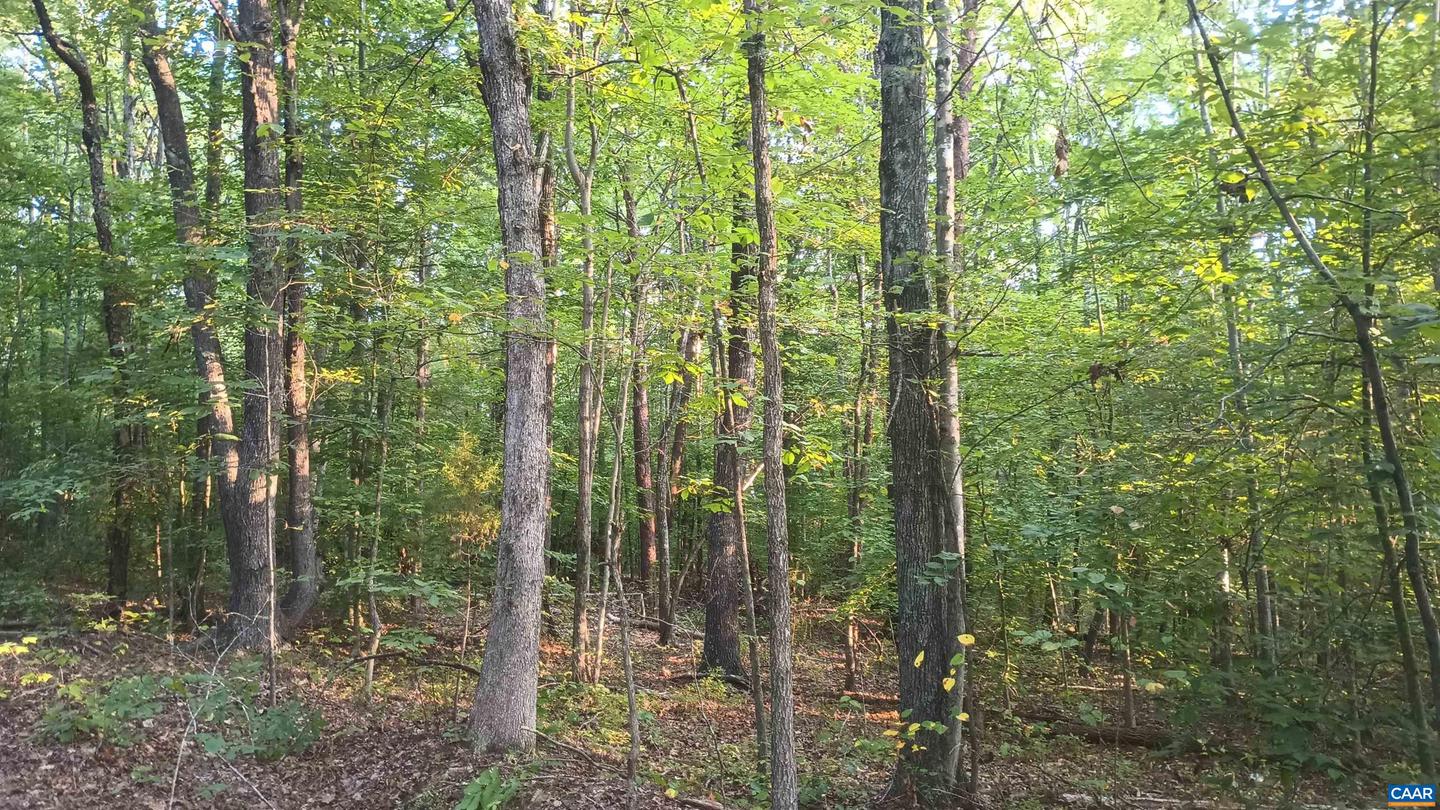 0 GLADE RD #LOT 3, SHIPMAN, Virginia 22971, ,Land,For sale,0 GLADE RD #LOT 3,656884 MLS # 656884