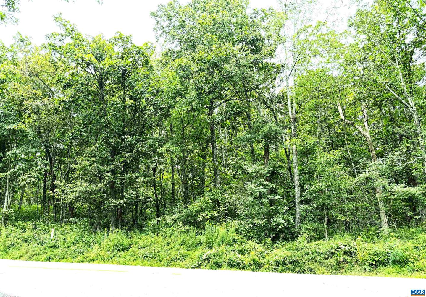 455 LAUREL SPRINGS DR, WINTERGREEN RESORT, Virginia 22967, ,Land,For sale,455 LAUREL SPRINGS DR,657405 MLS # 657405