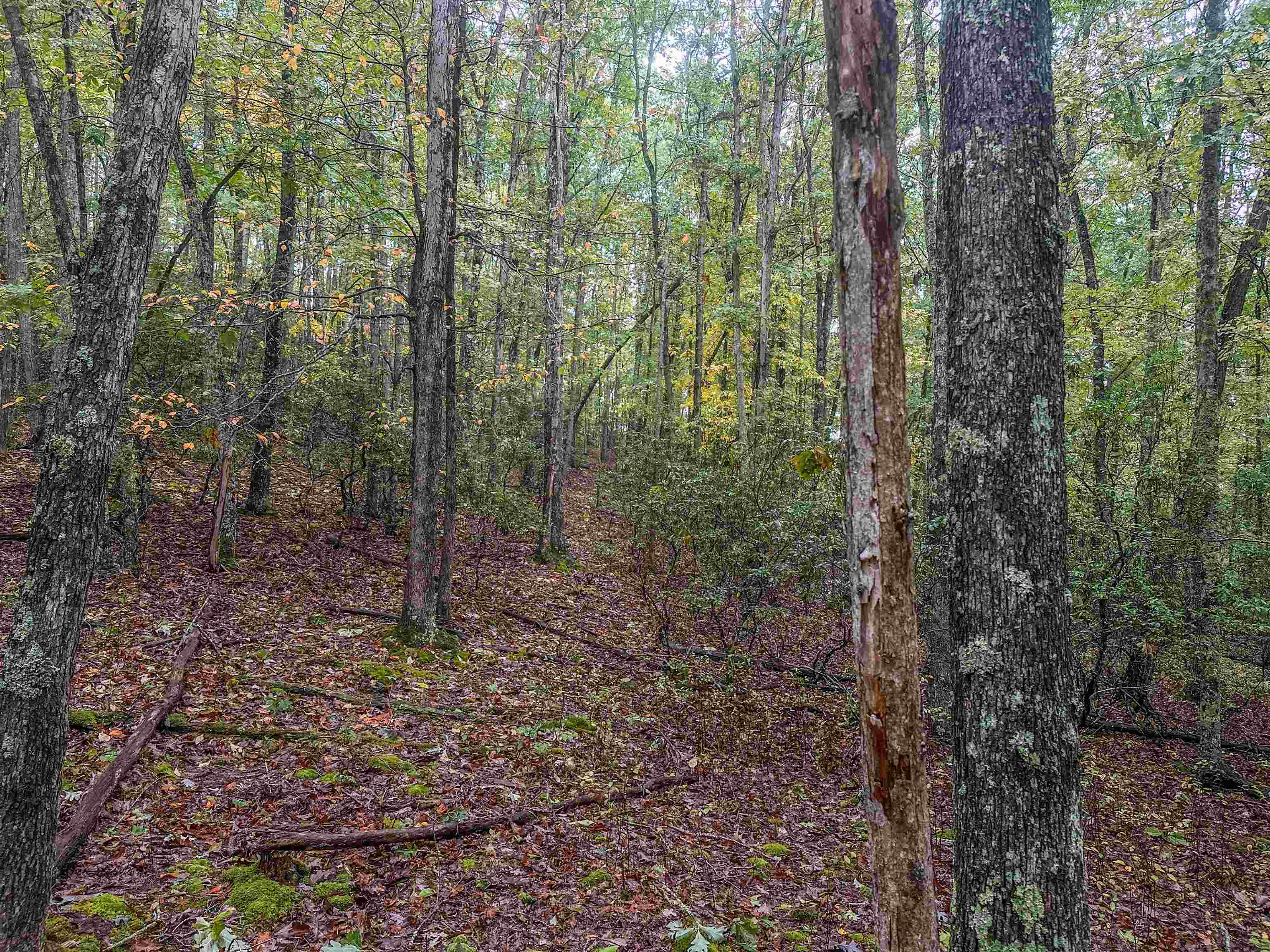 TBD WHIPPOORWILL LN, MONTEREY, Virginia 24465, ,Land,TBD WHIPPOORWILL LN,657460 MLS # 657460