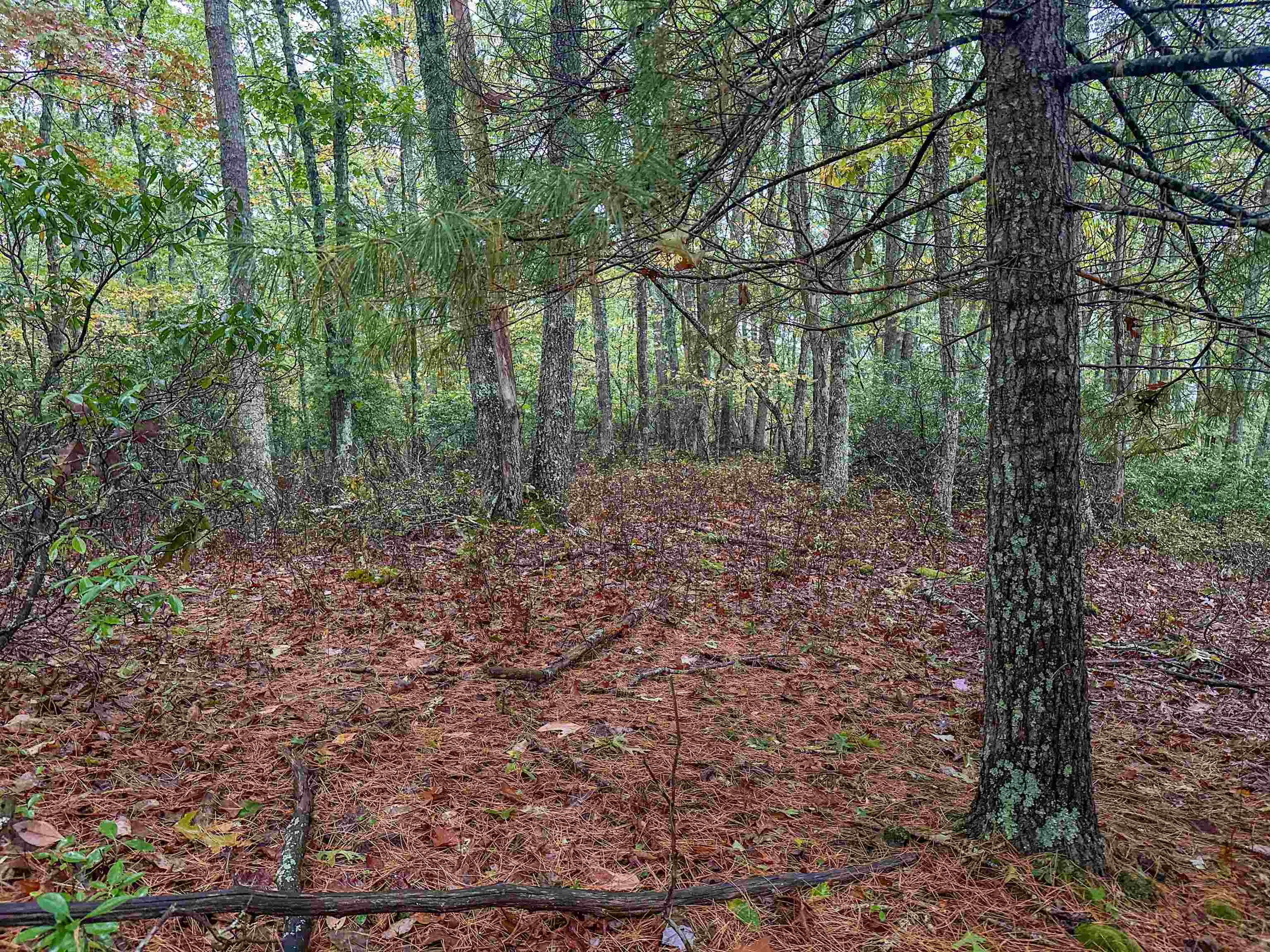 TBD WHIPPOORWILL LN, MONTEREY, Virginia 24465, ,Land,TBD WHIPPOORWILL LN,657460 MLS # 657460