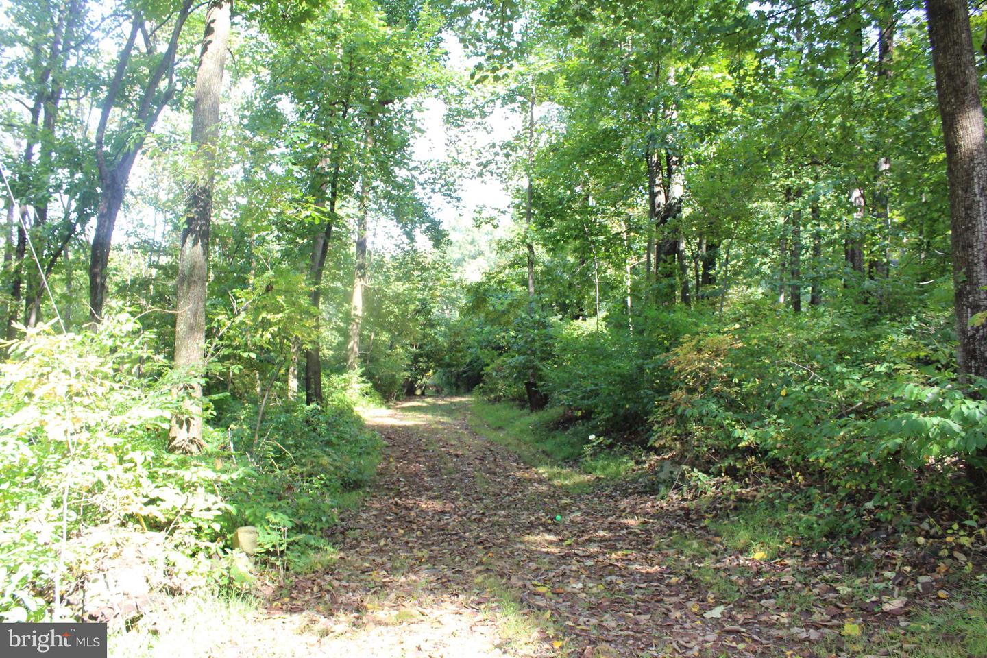 0 INDIAN PIPE LN, LINDEN, Virginia 22642, ,Land,For sale,0 INDIAN PIPE LN,VAWR2008616 MLS # VAWR2008616