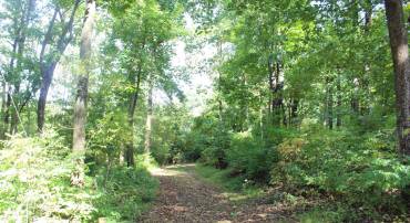 0 INDIAN PIPE LN, LINDEN, Virginia 22642, ,Land,For sale,0 INDIAN PIPE LN,VAWR2008616 MLS # VAWR2008616