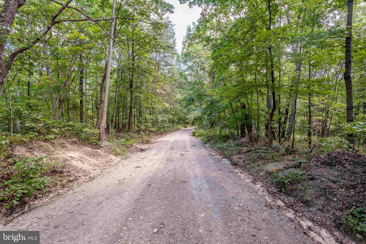 K57 & K68 FOREST EXT DR, LURAY, Virginia 22835, ,Land,For sale,K57 & K68 FOREST EXT DR,VAPA2004072 MLS # VAPA2004072