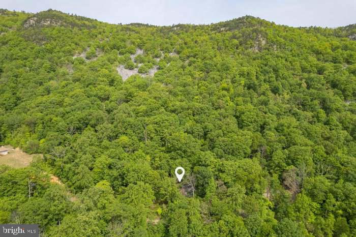 K57 & K68 FOREST EXT DR, LURAY, Virginia 22835, ,Land,For sale,K57 & K68 FOREST EXT DR,VAPA2004072 MLS # VAPA2004072