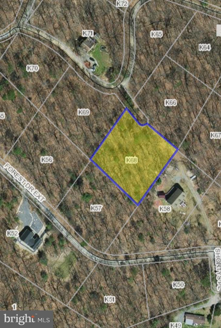 K57 & K68 FOREST EXT DR, LURAY, Virginia 22835, ,Land,For sale,K57 & K68 FOREST EXT DR,VAPA2004072 MLS # VAPA2004072