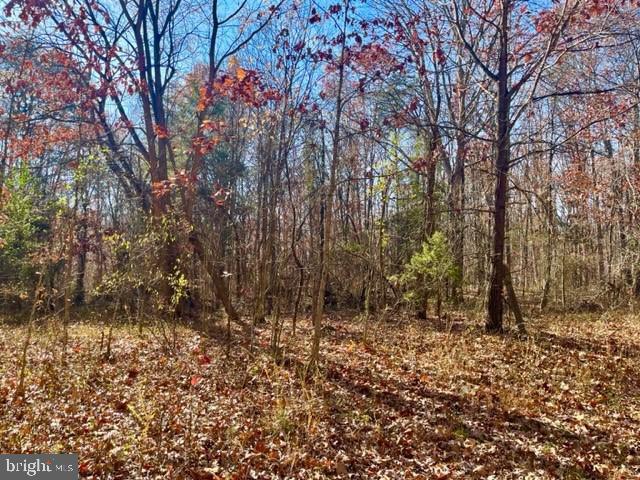 K57 & K68 FOREST EXT DR, LURAY, Virginia 22835, ,Land,For sale,K57 & K68 FOREST EXT DR,VAPA2004072 MLS # VAPA2004072