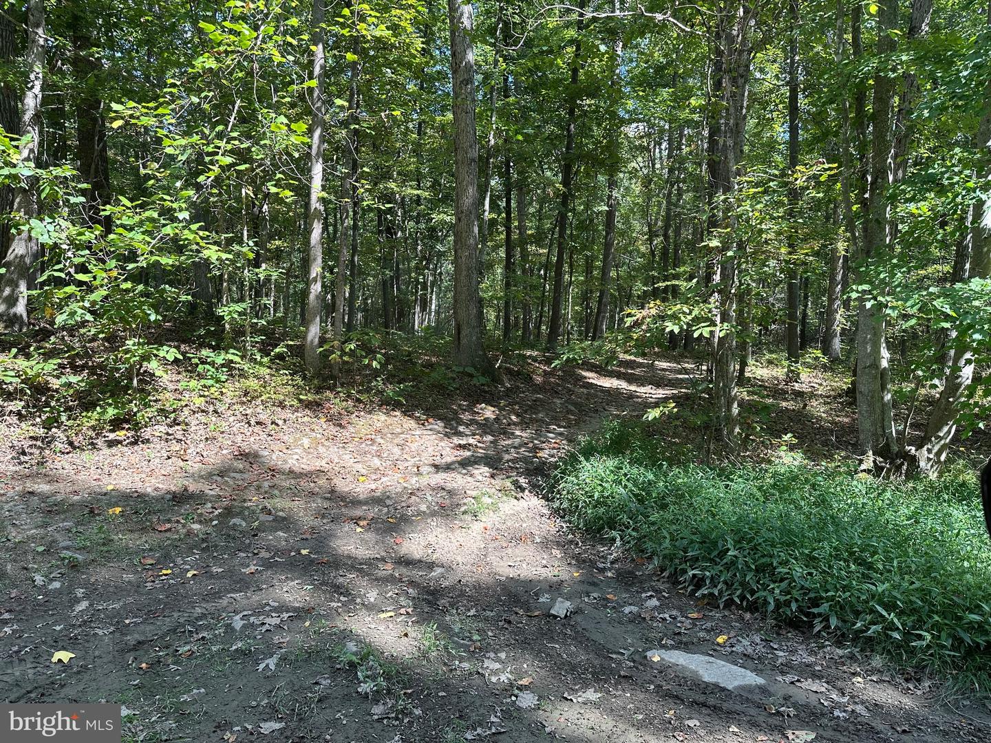 K57 & K68 FOREST EXT DR, LURAY, Virginia 22835, ,Land,For sale,K57 & K68 FOREST EXT DR,VAPA2004072 MLS # VAPA2004072