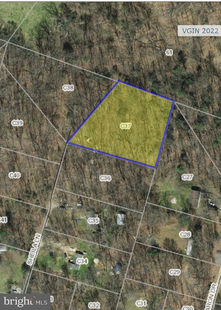 LOT C37 SHEILA LN, SHENANDOAH, Virginia 22849, ,Land,For sale,LOT C37 SHEILA LN,VAPA2004074 MLS # VAPA2004074