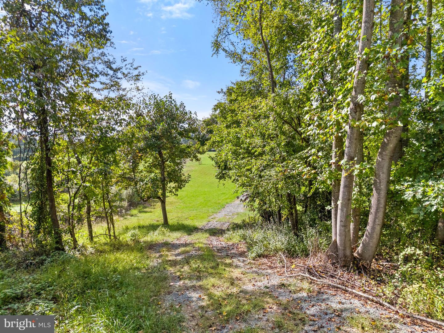 WILSON ROAD, MARSHALL, Virginia 20115, ,Land,For sale,WILSON ROAD,VAFQ2014174 MLS # VAFQ2014174