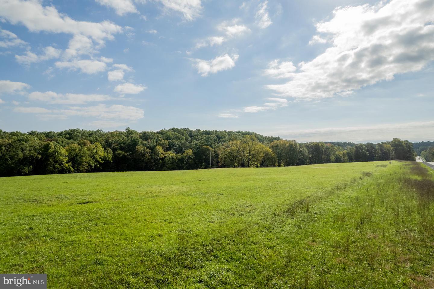 LOT 24 BLOOMERY PIKE, CROSS JUNCTION, Virginia 22625, ,Land,For sale,LOT 24 BLOOMERY PIKE,VAFV2022132 MLS # VAFV2022132