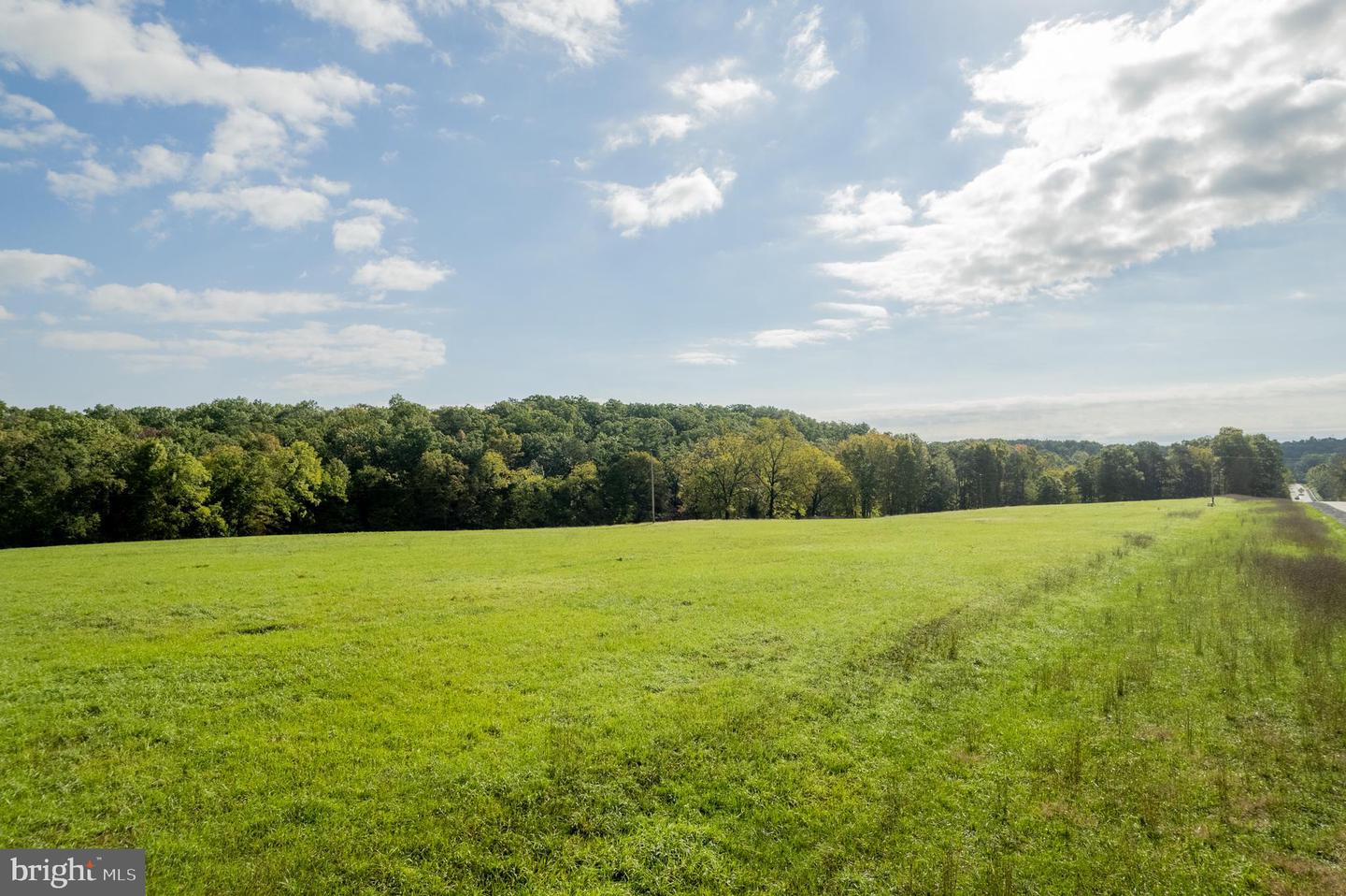 LOT 24 BLOOMERY PIKE, CROSS JUNCTION, Virginia 22625, ,Land,For sale,LOT 24 BLOOMERY PIKE,VAFV2022132 MLS # VAFV2022132